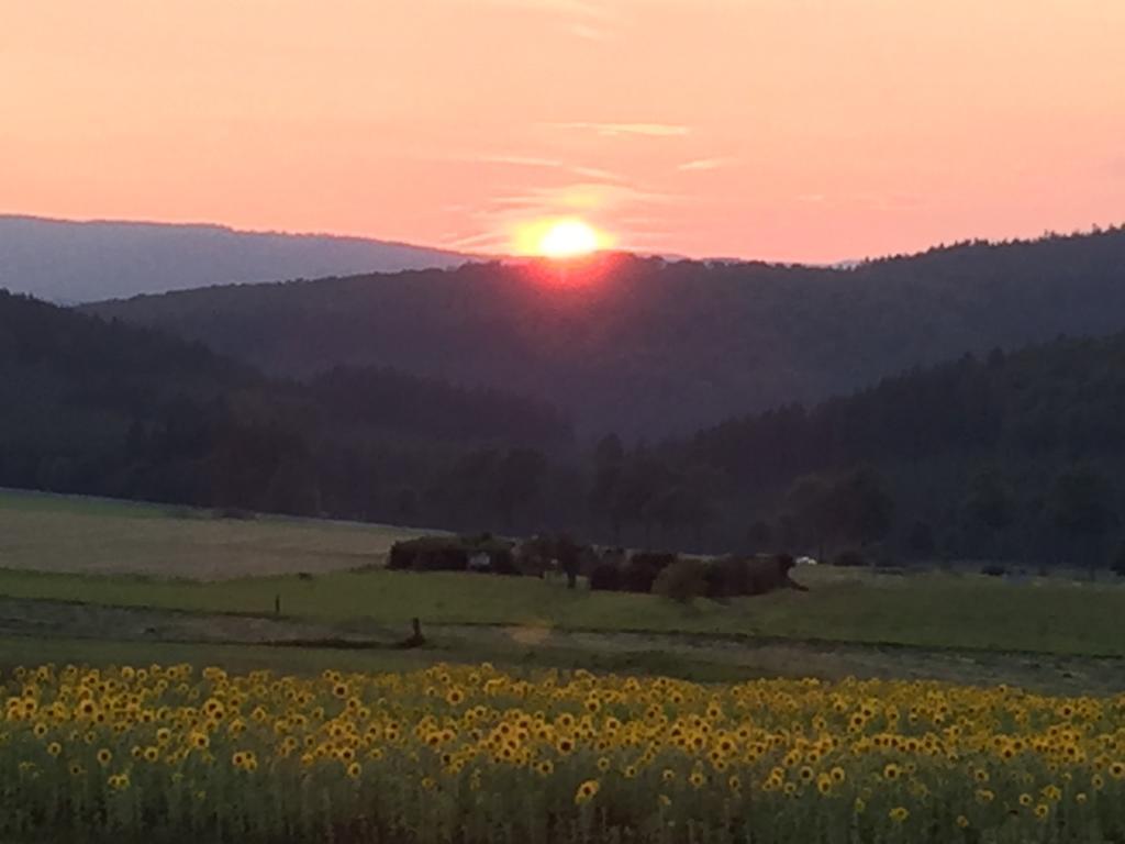 Ferienwohnung Sauerlandblick Goldhausen Εξωτερικό φωτογραφία